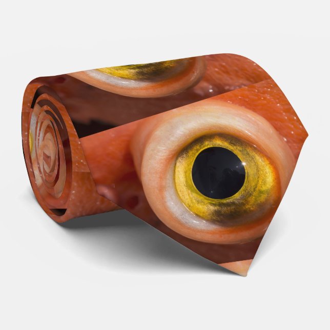 Rockfish Eye Tie (Rolled)