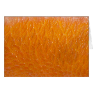 Rockfish Skin