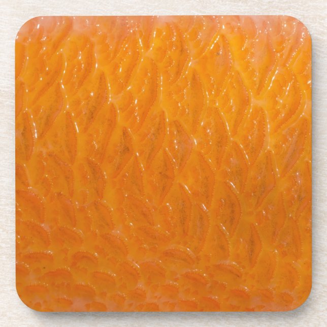 Rockfish Skin Coaster (Front)