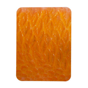 Rockfish Skin Magnet