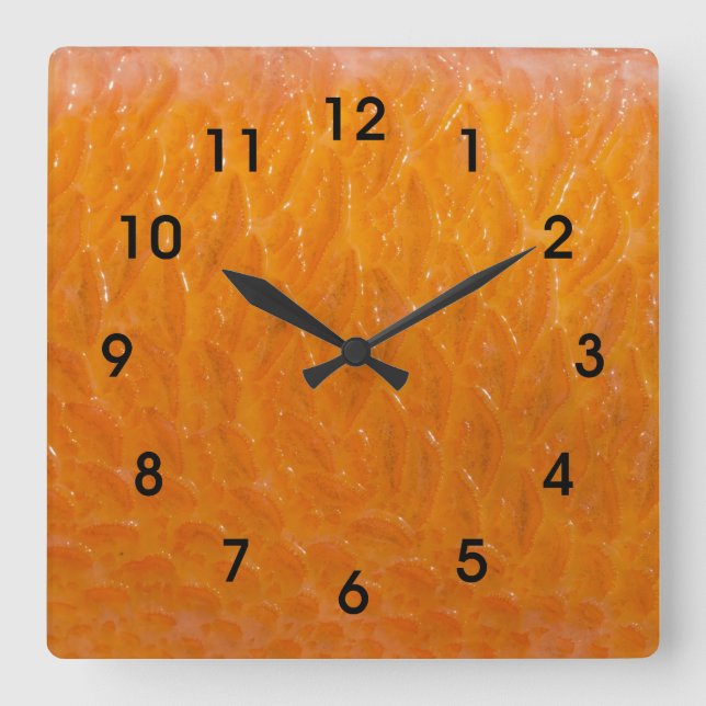 Rockfish Skin Square Wall Clock (Front)