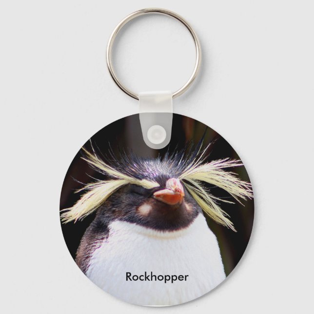 Rockhopper Key Ring (Front)