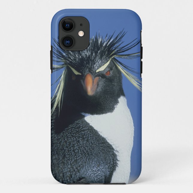 Rockhopper Penguin (Eudyptes chrysocome) Case-Mate iPhone Case (Back)