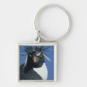 Rockhopper Penguin (Eudyptes chrysocome) Key Ring