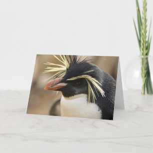 Rockhopper Penguin Greeting Card