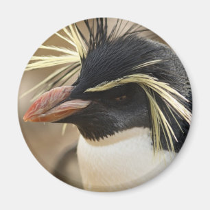 Rockhopper Penguin Magnet