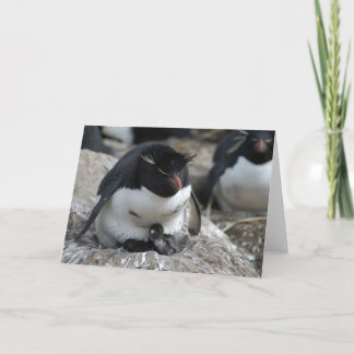 Rockhopper Penguin with Chicks Card