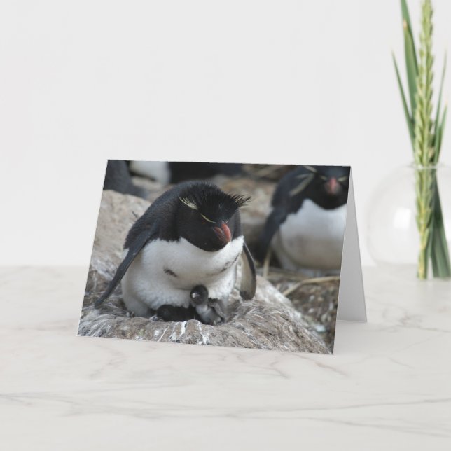 Rockhopper Penguin with Chicks Card (Front)
