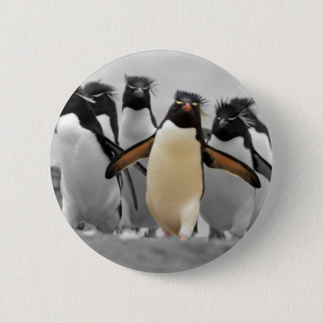Rockhopper Penguins 6 Cm Round Badge (Front)
