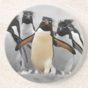 Rockhopper Penguins Coaster