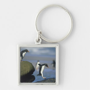 Rockhopper Penguins, Eudyptes chrysocome), Key Ring
