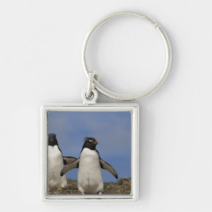 Rockhopper Penguins Eudyptes chrysocome Key Ring