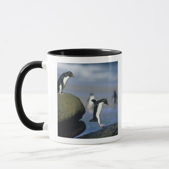Rockhopper Penguins, Eudyptes chrysocome), Mug (Left)