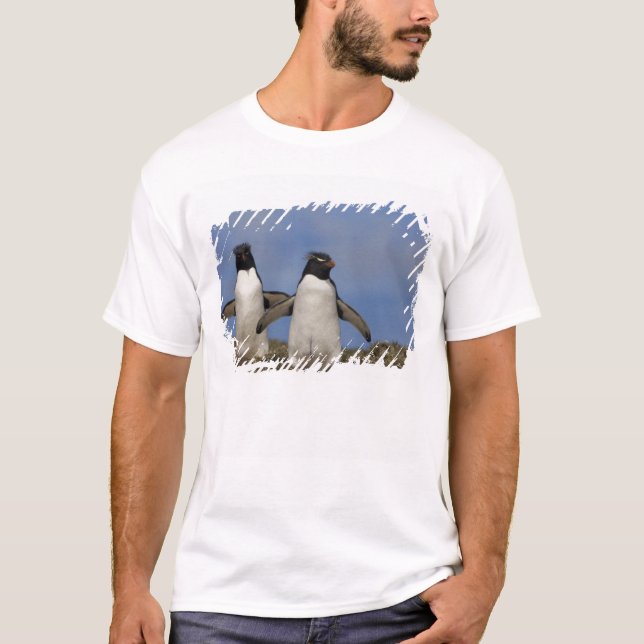 Rockhopper Penguins Eudyptes chrysocome T-Shirt (Front)