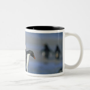 Rockhopper Penguins, Eudyptes chrysocome), Two-Tone Coffee Mug