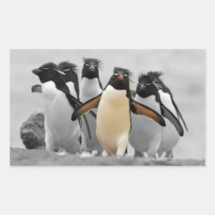 Rockhopper Penguins Rectangular Sticker