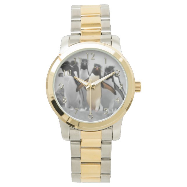 Rockhopper Penguins Watch (Front)