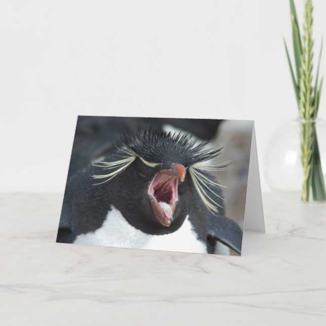 Rockhopper Yawn Card (Front)