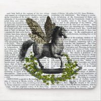 Rocking Horse Fly 2