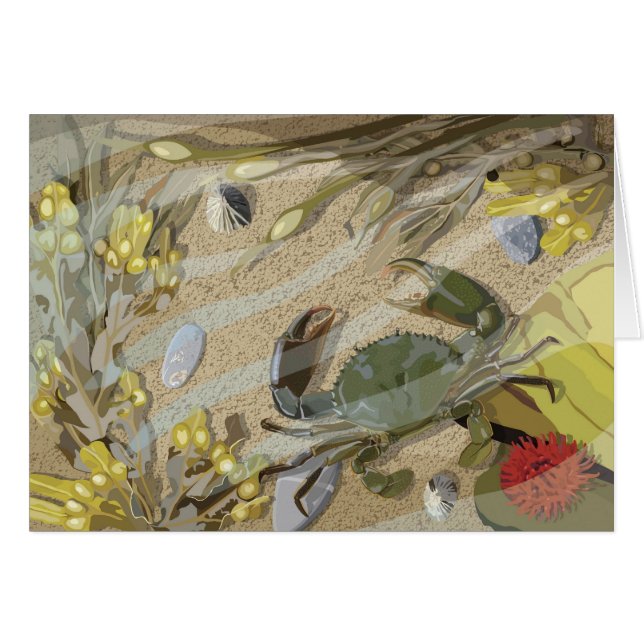 Rockpool (Front Horizontal)