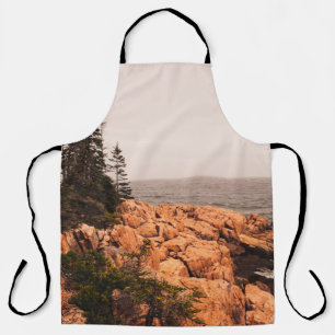 Rocks and trees on the Maine shoreline in Acadia N Apron