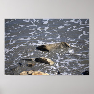 Rocks in the Ocean Poster