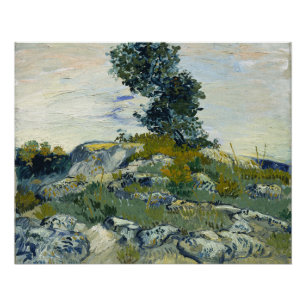 Rocks with Oak Tree, Van Gogh Oil Painting Poster