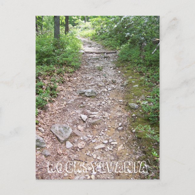 rocksylvania appalachian trail rocky path postcard (Front)
