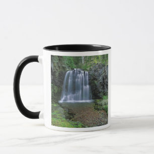 Rockwell Falls in the Two Medicine Valley of Mug