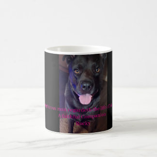Rocky and Provebs 12:10 Mug