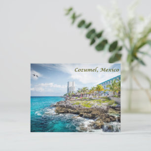 Rocky Coast of Cozumel, Mexico Postcard