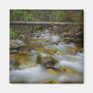 Rocky forest creek magnet