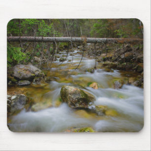 Rocky forest creek mousepad