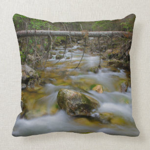 Rocky forest creek throw pillow