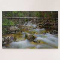 Rocky forest creek with motion blur water