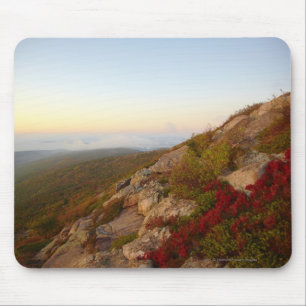 Rocky Hillside, Red Flowers, Acadia National Park Mouse Pad
