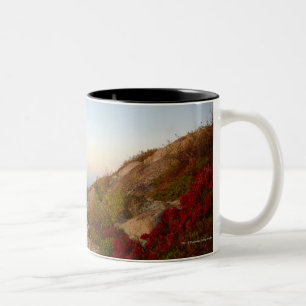 Rocky Hillside, Red Flowers, Acadia National Park Two-Tone Coffee Mug