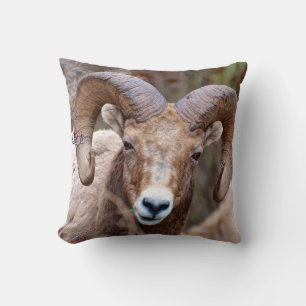 Rocky Mountain Bighorn Sheep Cushion