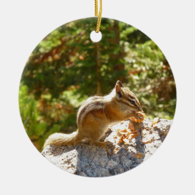 Rocky Mountain Chipmunk Ceramic Ornament (Front)