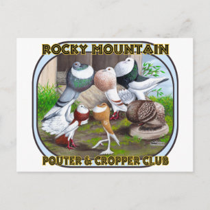 Rocky Mountain Club Logo Postcard
