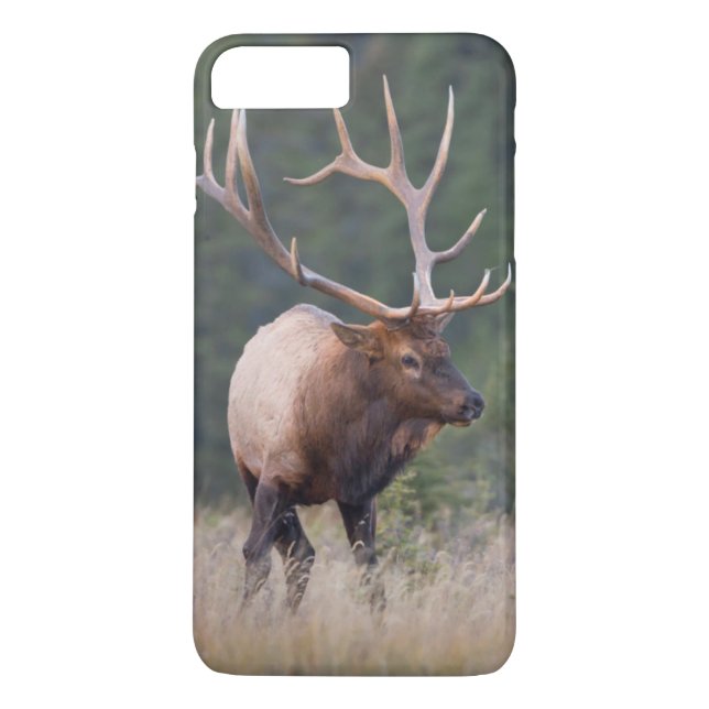 Rocky Mountain Elk Case-Mate iPhone Case (Back)