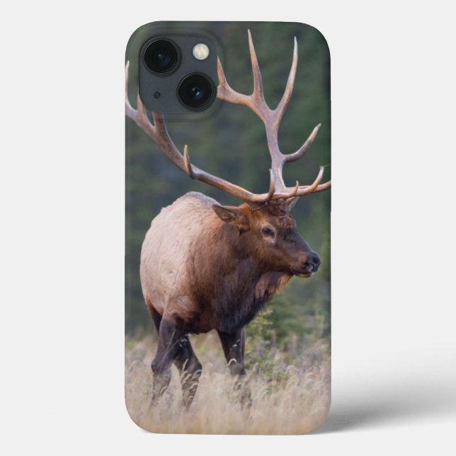 Rocky Mountain Elk Case-Mate iPhone Case (Back)