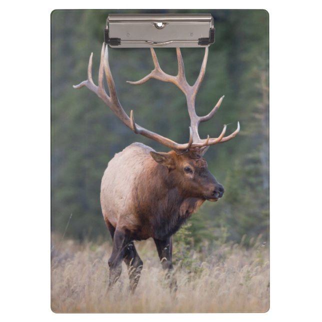 Rocky Mountain Elk Clipboard (Front)