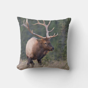 Rocky Mountain Elk Cushion