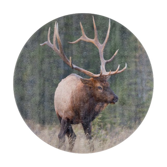 Rocky Mountain Elk Cutting Board (Front)