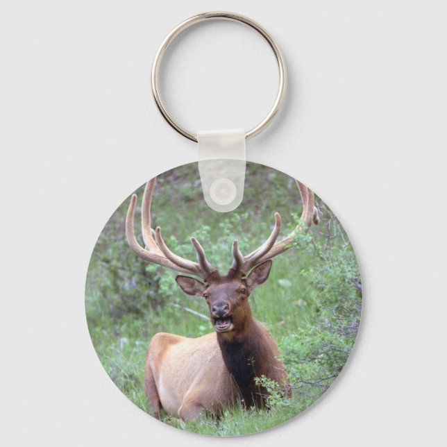 Rocky Mountain Elk Key Ring (Front)