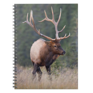 Rocky Mountain Elk Notebook