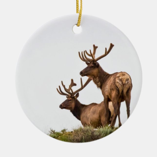 Rocky Mountain Elk Ornament (Front)