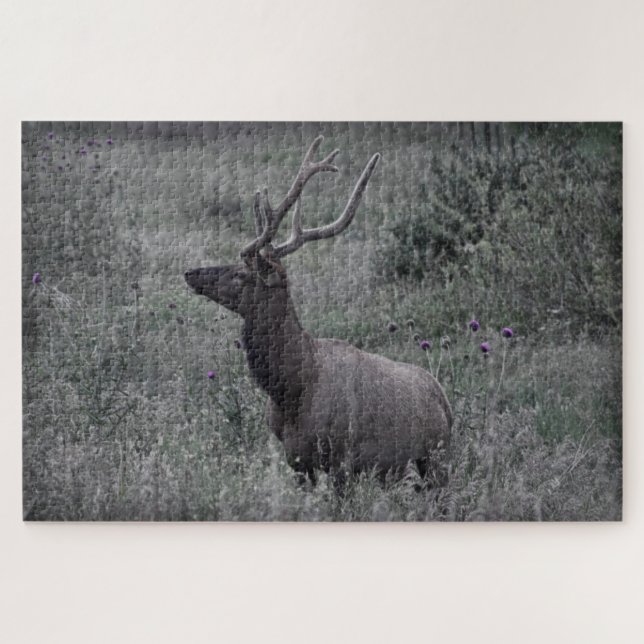 Rocky Mountain Elk - RMNP - 20x30 - 1014 pcs Jigsaw Puzzle (Horizontal)