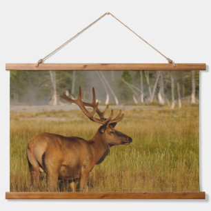 Rocky Mountain Elk   Yellowstone National Park Hanging Tapestry